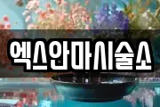 엑스안마시술소