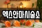 엑스안마시술소
