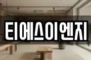 티에스이엔지