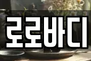 로로바디
