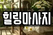 경기도 남양주시 수동면 마사지, 지압등 업체정보