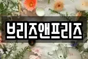 브리즈앤프리즈