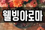 웰빙아로마