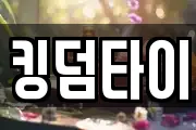 킹덤타이