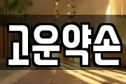 고운약손