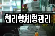 천리향체형관리