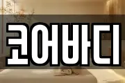 코어바디