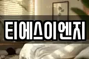 티에스이엔지