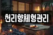 천리향체형관리