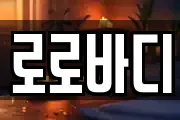 로로바디