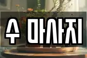 수 마사지