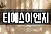 티에스이엔지