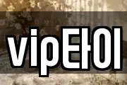 vip타이
