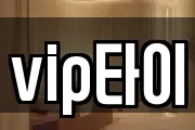 vip타이