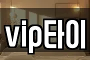 vip타이