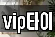 vip타이
