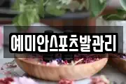 예미안스포츠발관리