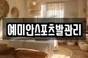 예미안스포츠발관리