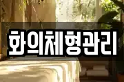 화의체형관리
