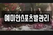 예미안스포츠발관리