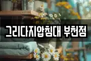 그리다지압침대 부천점