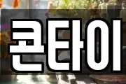 콘타이