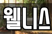 웰니스