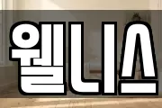 웰니스