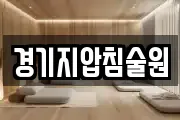 경기지압침술원