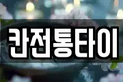 칸전통타이