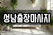성남출장마사지