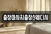 출장마사지출장스웨디시