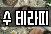 수 테라피