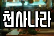 천사나라
