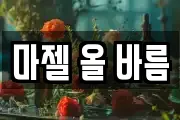 마젤 올 바름