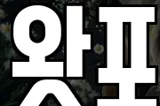 왓포