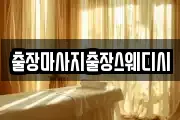 출장마사지출장스웨디시