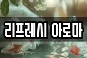 리프레시 아로마