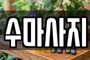 수마사지