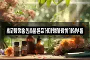 최고탐정흥신소불륜증거미행사람찾기심부름