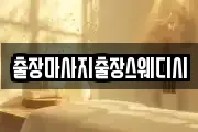출장마사지출장스웨디시