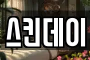 스킨데이