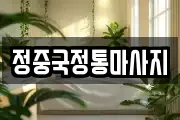정중국정통마사지