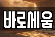 바로세움