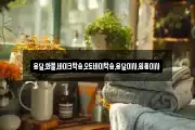 용달,화물,바이크탁송,오토바이탁송,용달이사,원룸이사