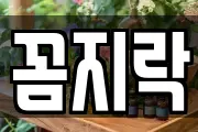 꼼지락