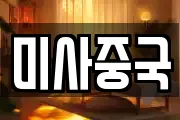 미사중국