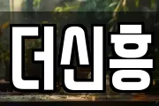 더신흥