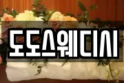 도도스웨디시