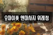 경기도 성남시 수정구 산성동 마사지, 지압등 업체정보